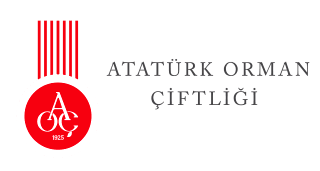 a76